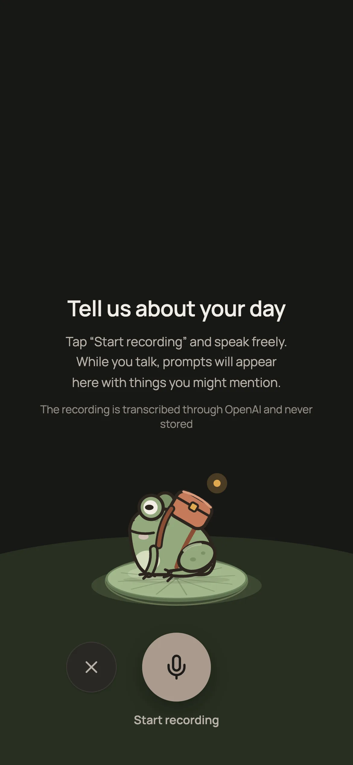 Voice day-entry screen