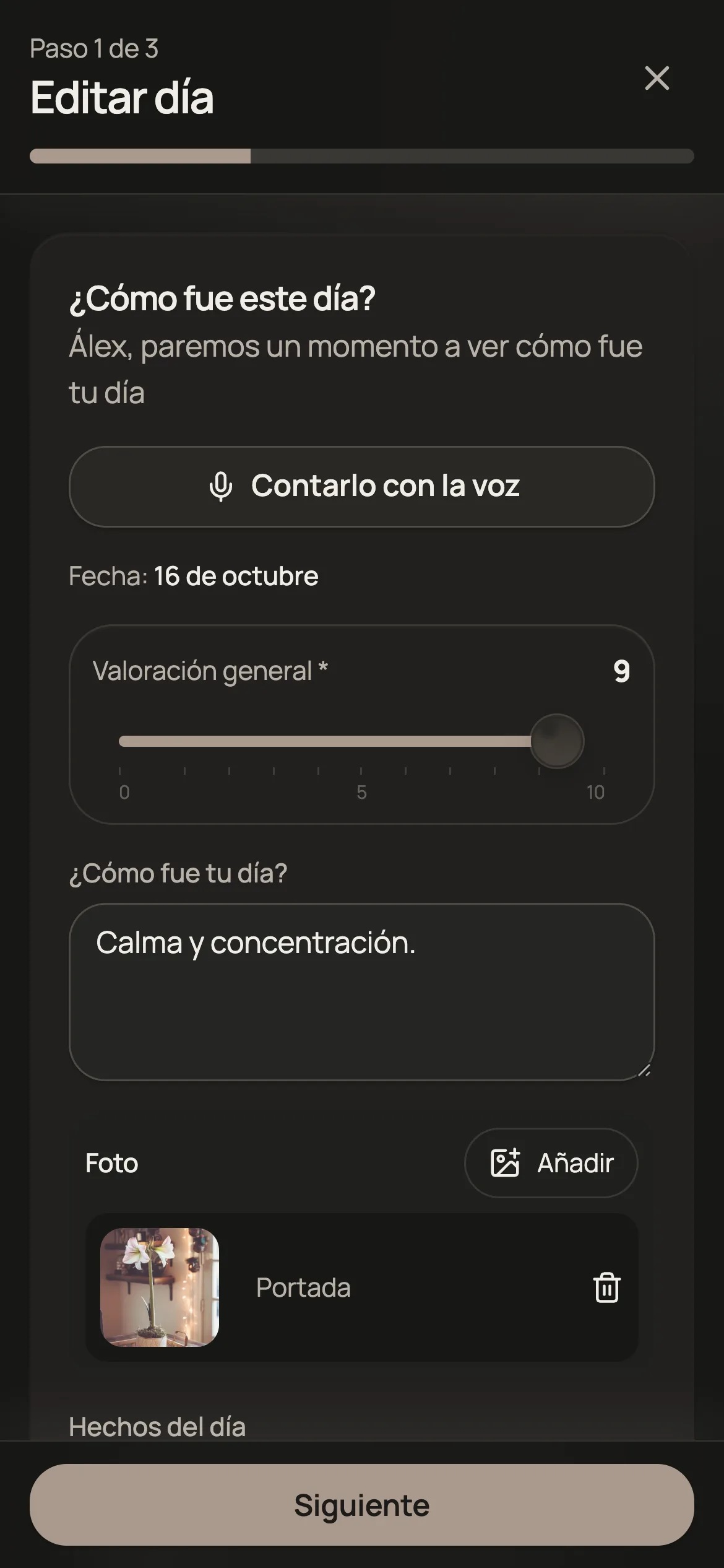 Formulario de la entrada del día, primer paso