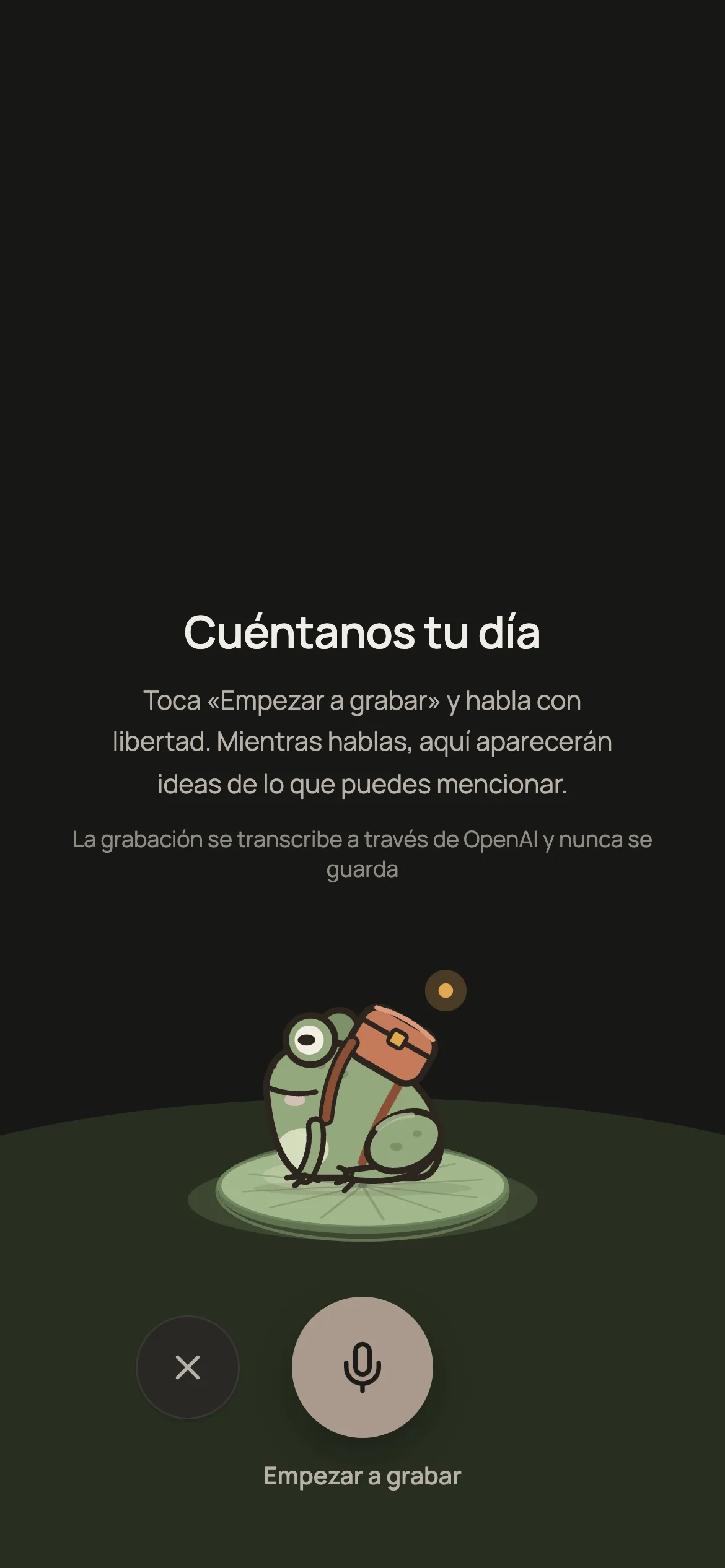 Pantalla de registro por voz