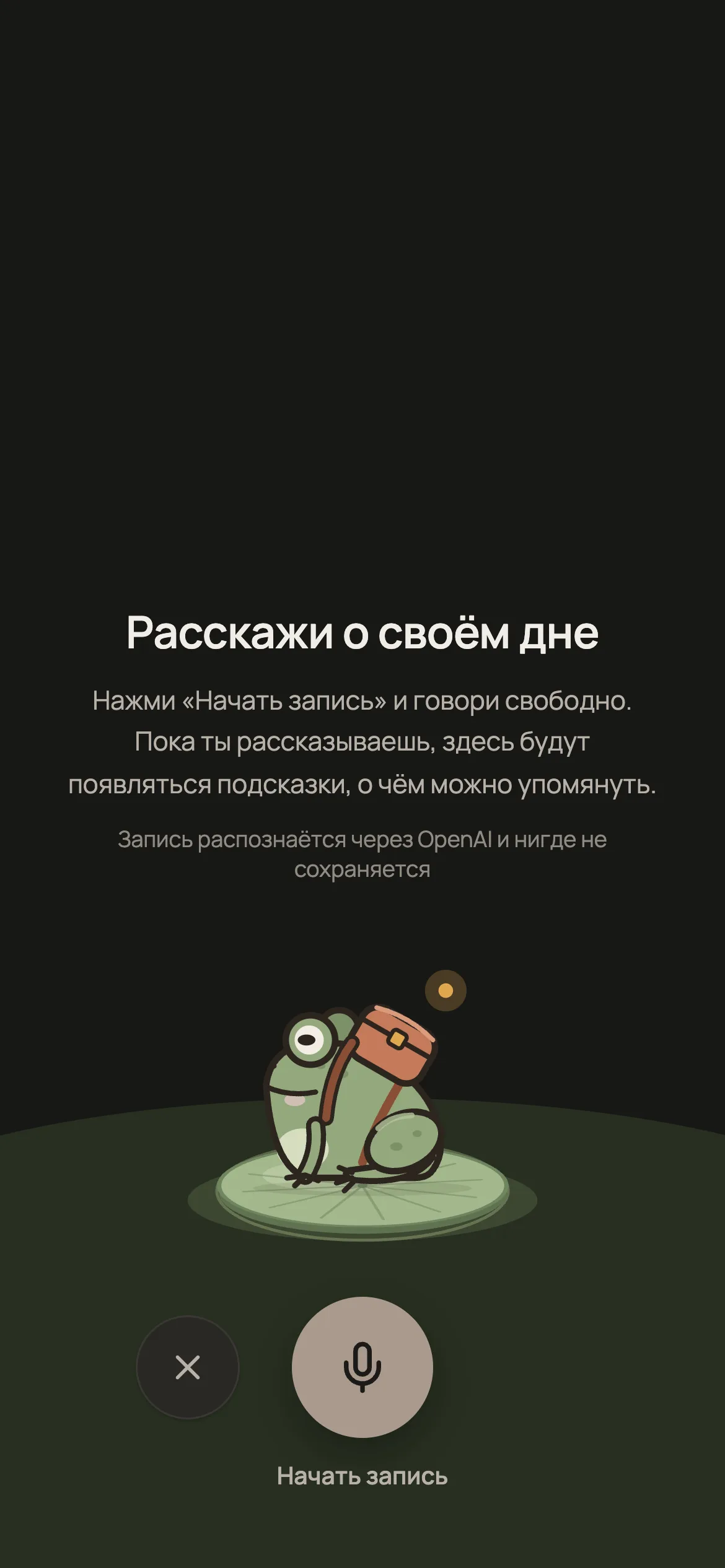 Экран голосовой записи дня